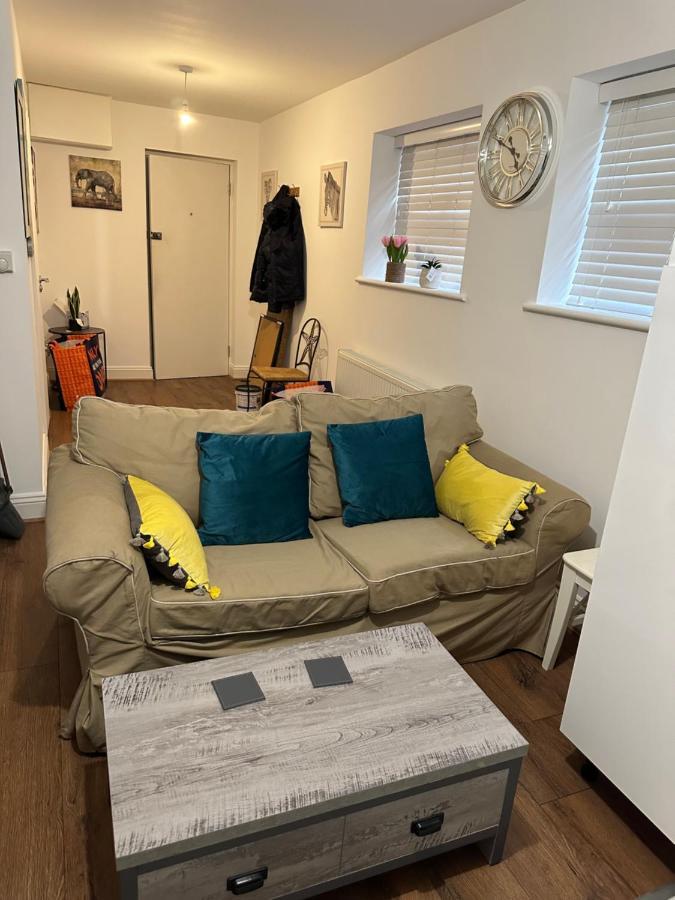 Beautiful Hoe Street Dream Ground Floor One Bedroom Apartment لندن المظهر الخارجي الصورة